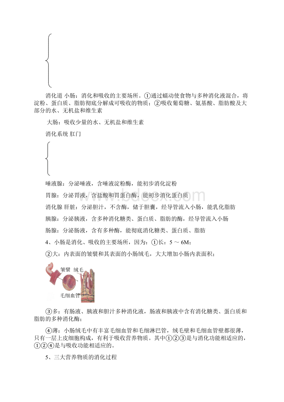 宁夏初中生物中考总复习知识要点.docx_第2页