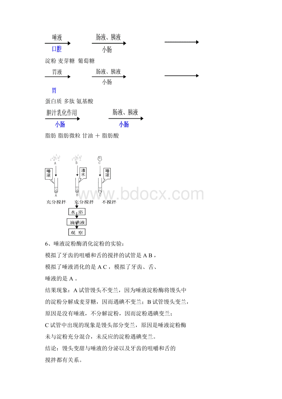 宁夏初中生物中考总复习知识要点.docx_第3页