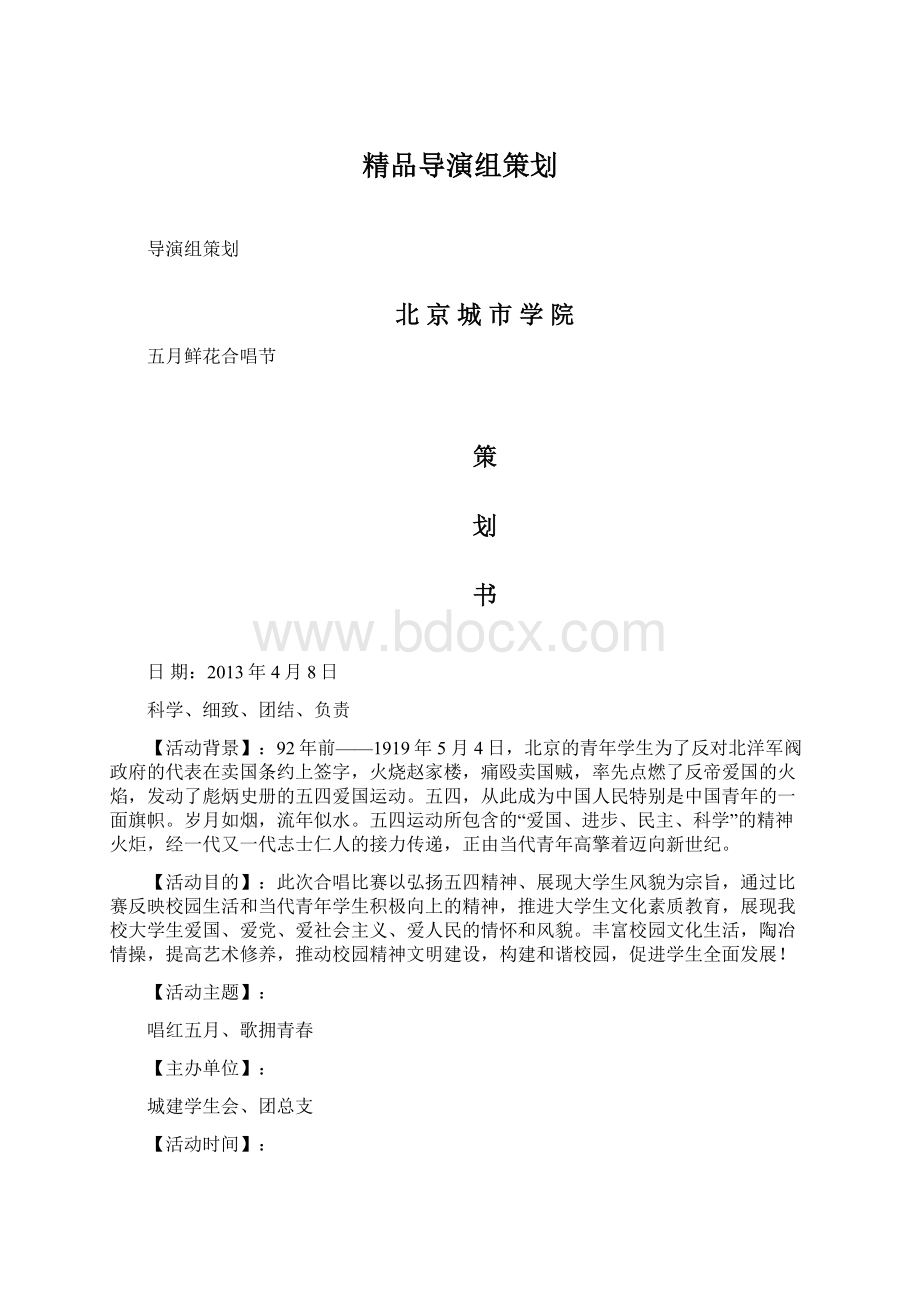 精品导演组策划.docx