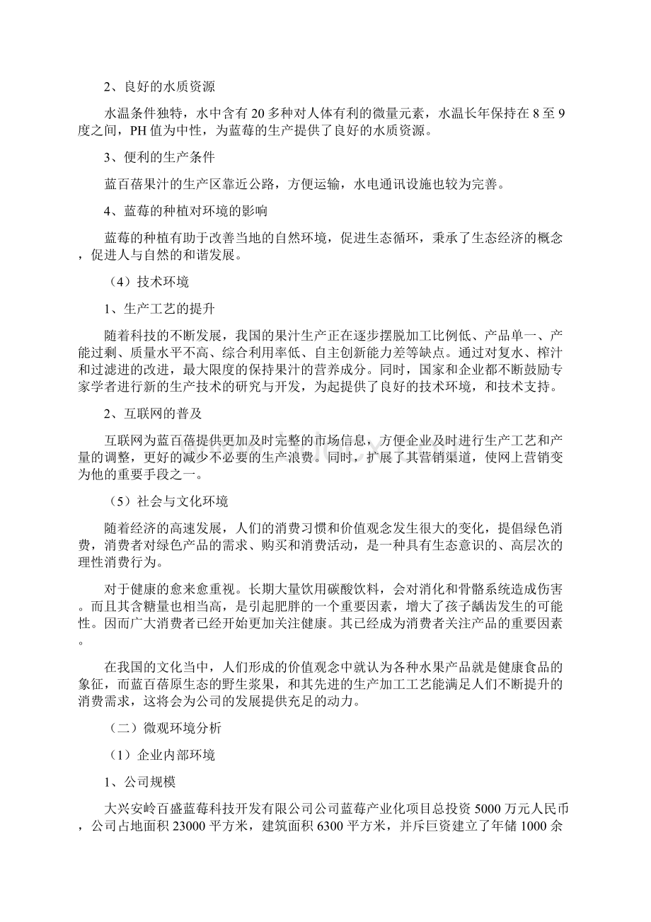 蓝百蓓果汁策划书Word下载.docx_第3页