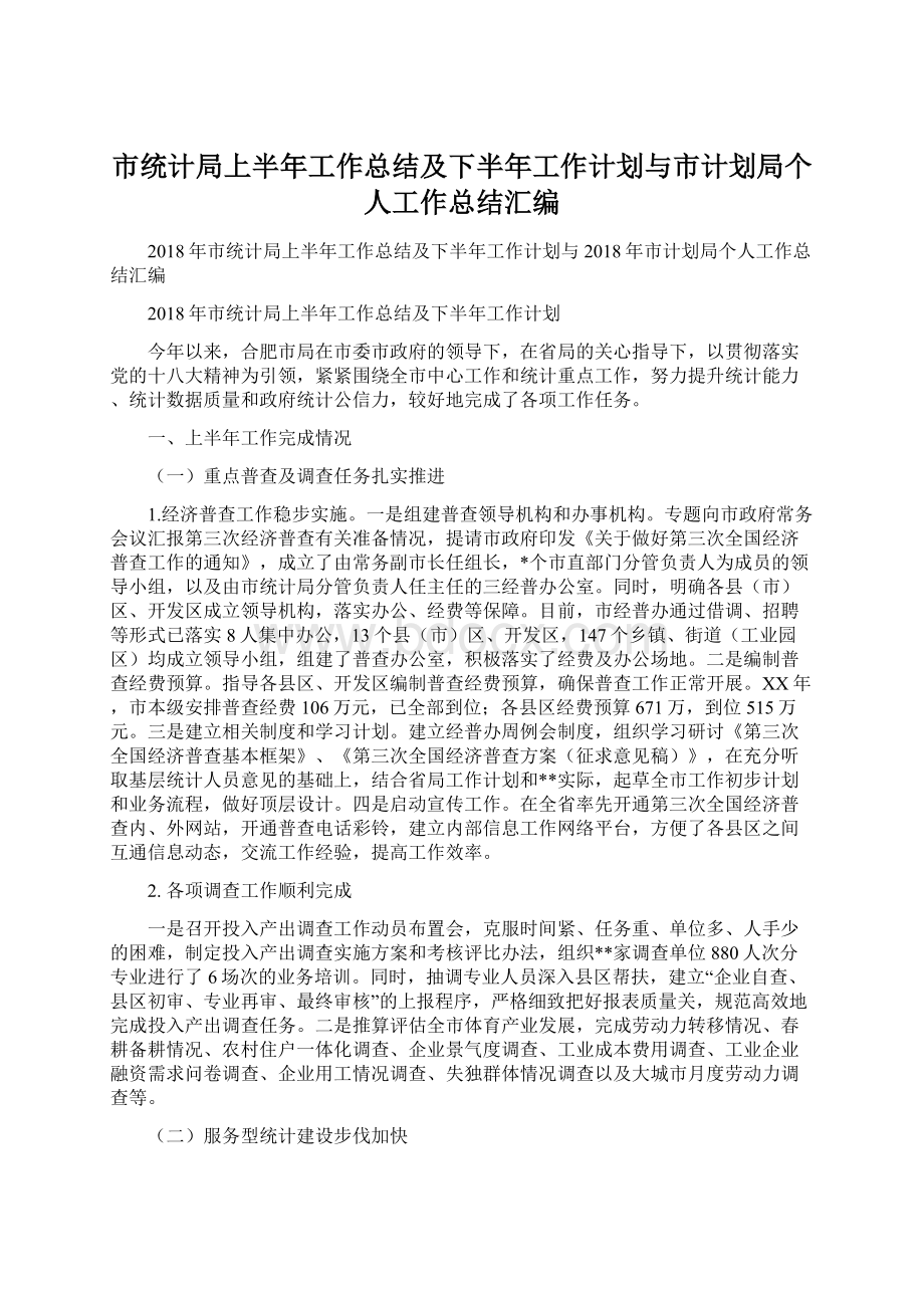 市统计局上半年工作总结及下半年工作计划与市计划局个人工作总结汇编.docx