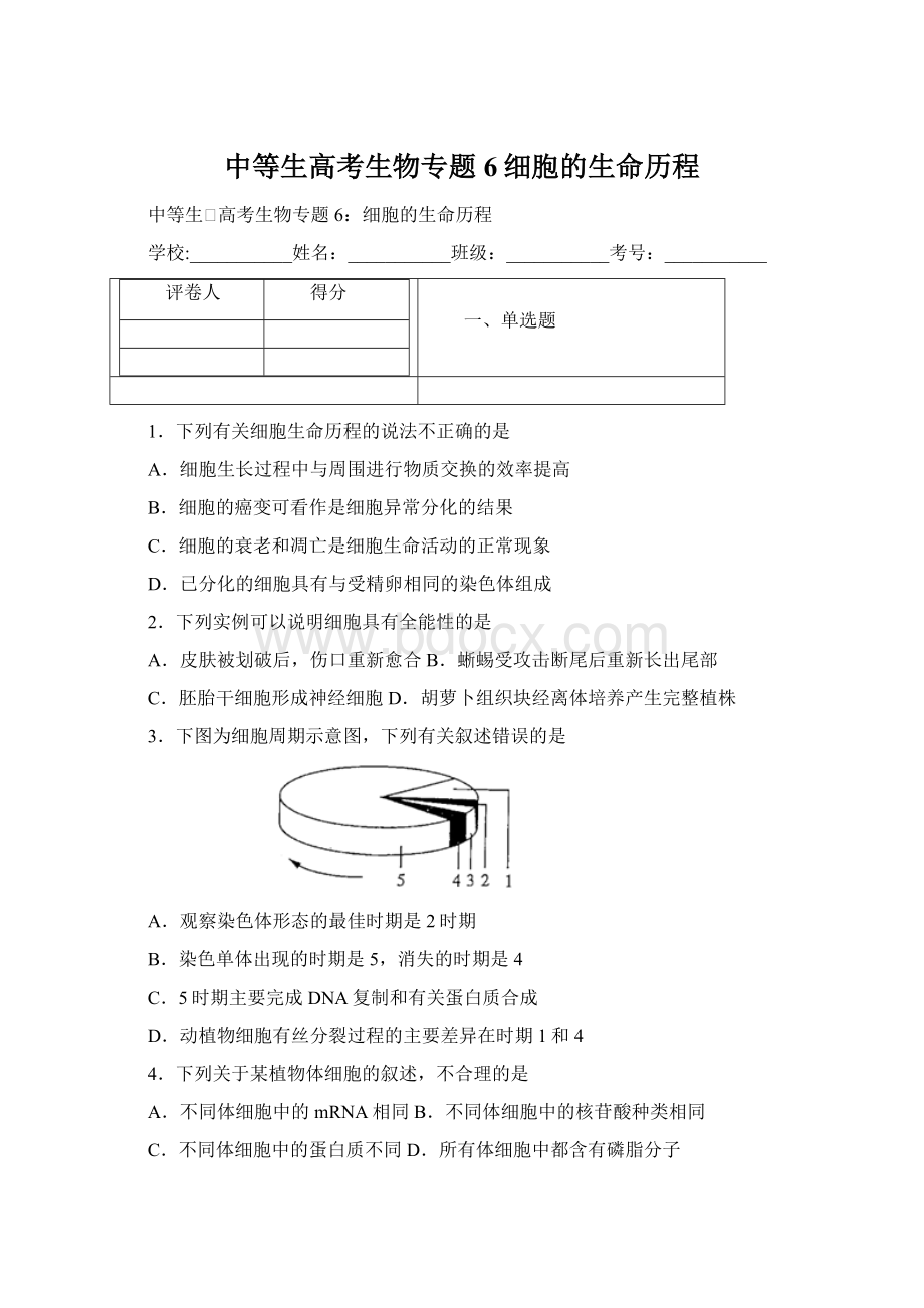 中等生高考生物专题6细胞的生命历程Word格式文档下载.docx_第1页