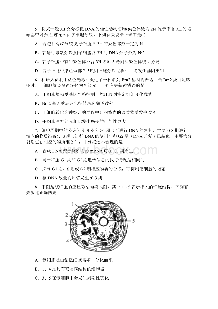 中等生高考生物专题6细胞的生命历程Word格式文档下载.docx_第2页