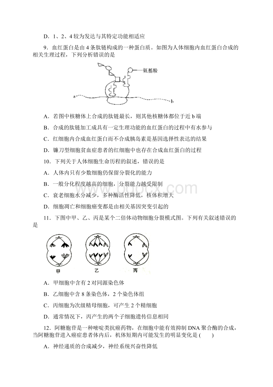 中等生高考生物专题6细胞的生命历程Word格式文档下载.docx_第3页