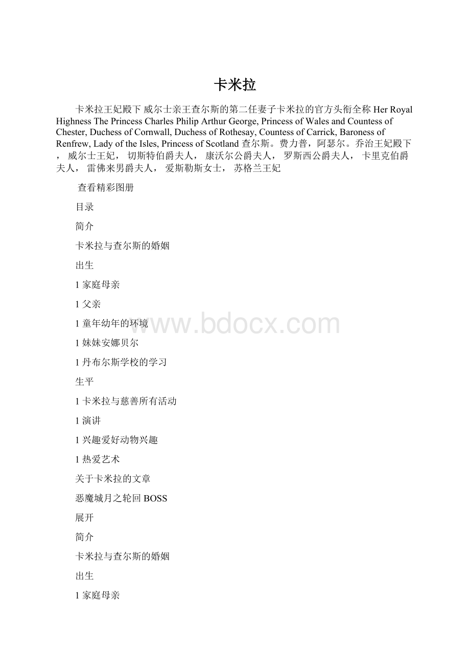 卡米拉Word下载.docx