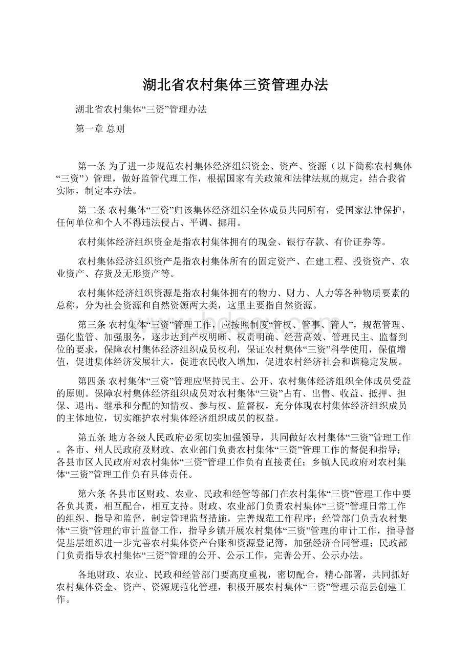 湖北省农村集体三资管理办法文档格式.docx