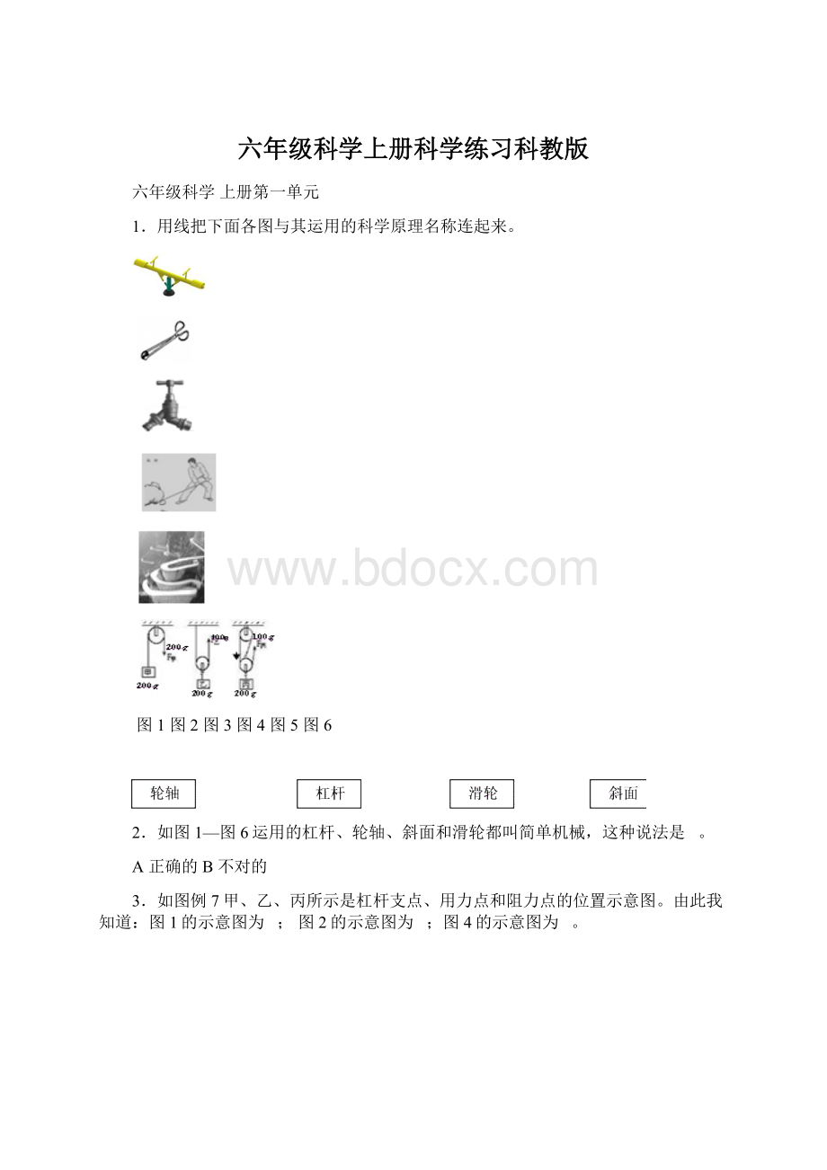 六年级科学上册科学练习科教版Word文件下载.docx_第1页