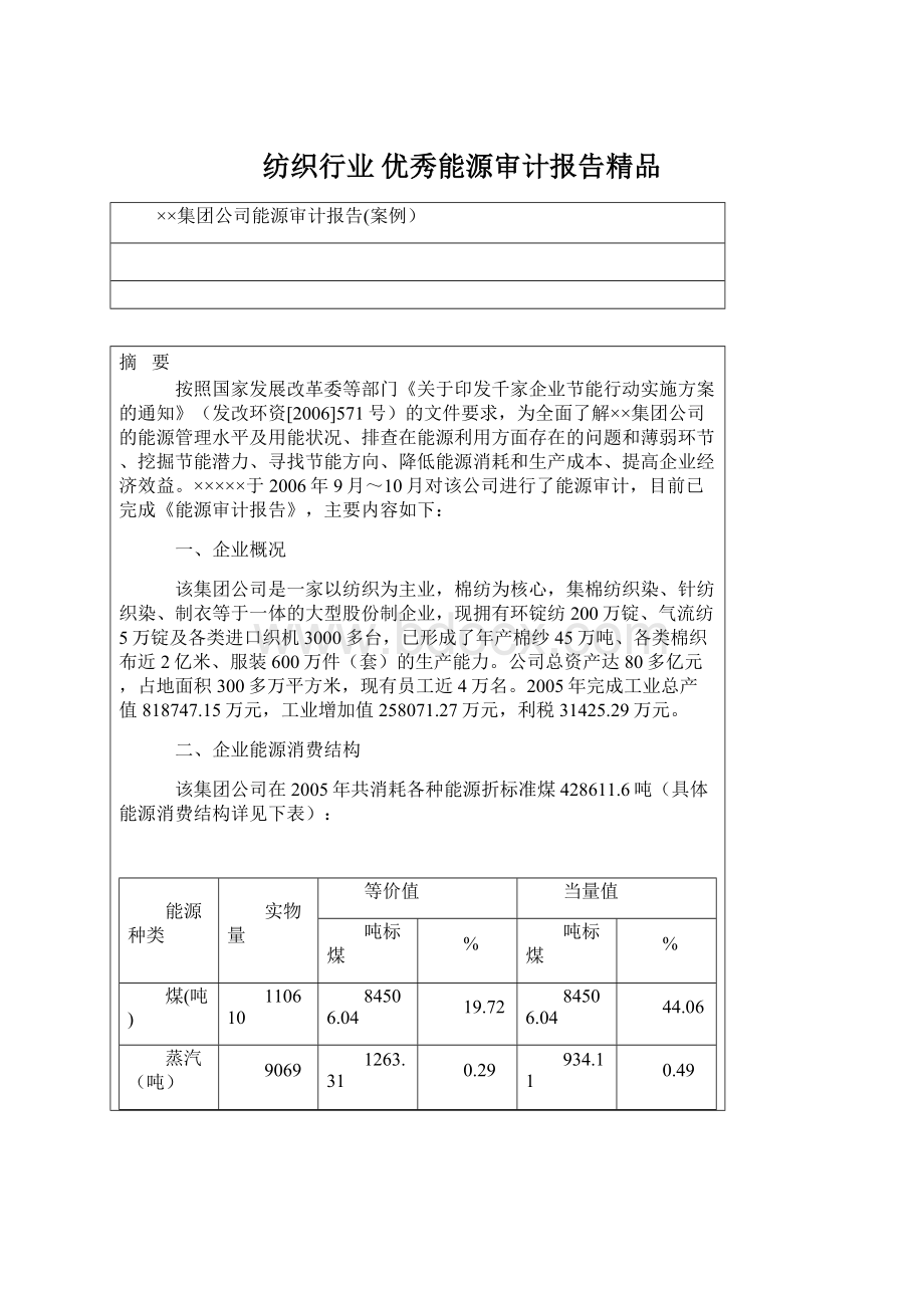 纺织行业 优秀能源审计报告精品.docx_第1页