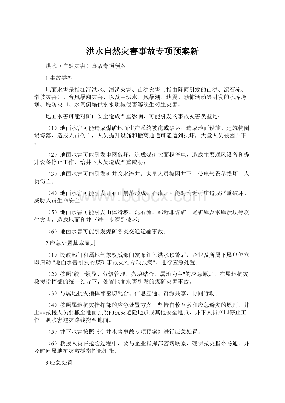 洪水自然灾害事故专项预案新.docx