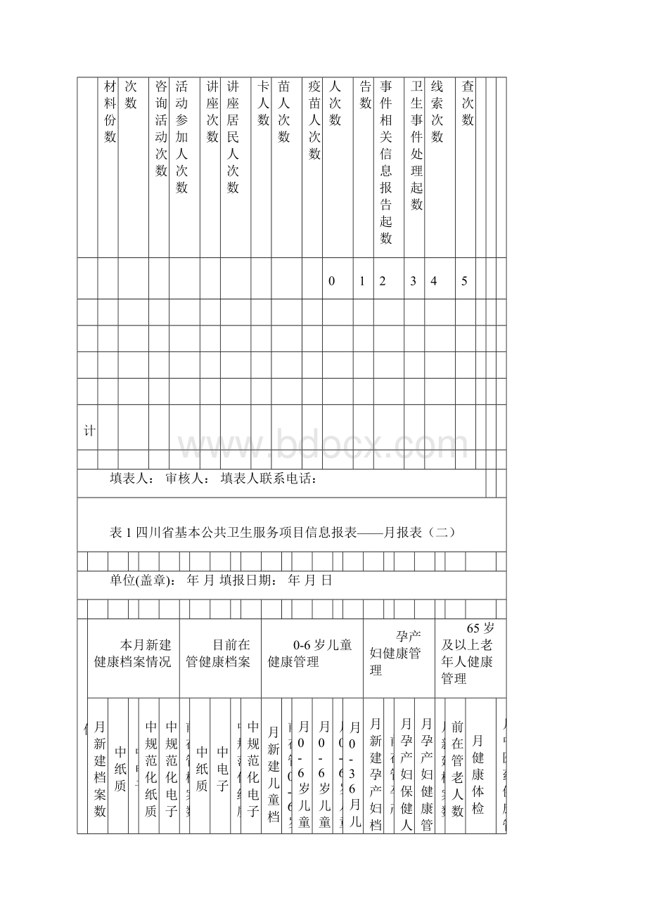 新版基本公共卫生服务项目信息报表.docx_第2页