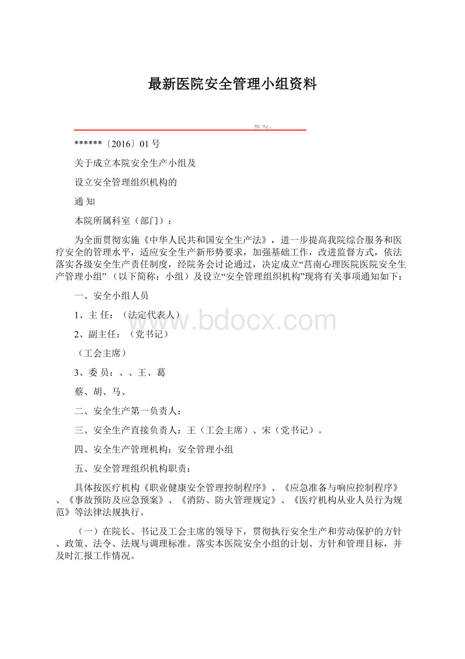 最新医院安全管理小组资料Word文档格式.docx