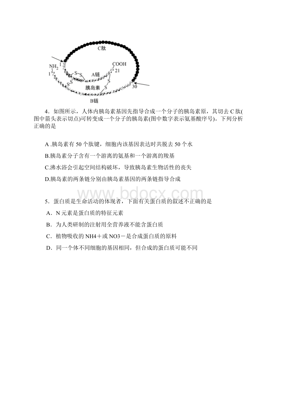 学年吉林省白城市通榆县第一中学高二月考生物试题 Word版Word格式文档下载.docx_第2页