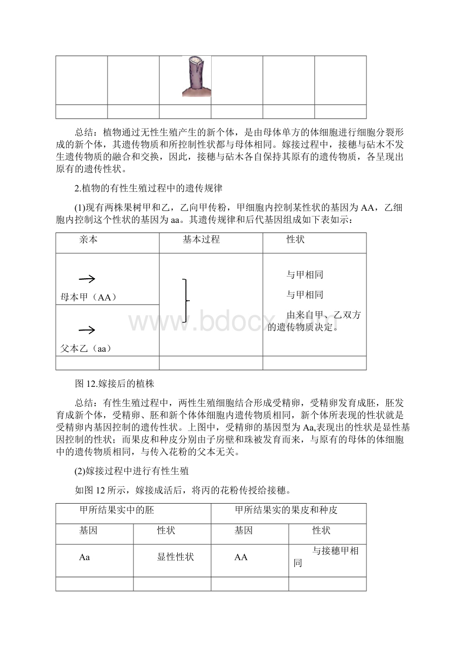 广东省中山市生物中考 专题四 生物的生殖与遗传变异.docx_第2页