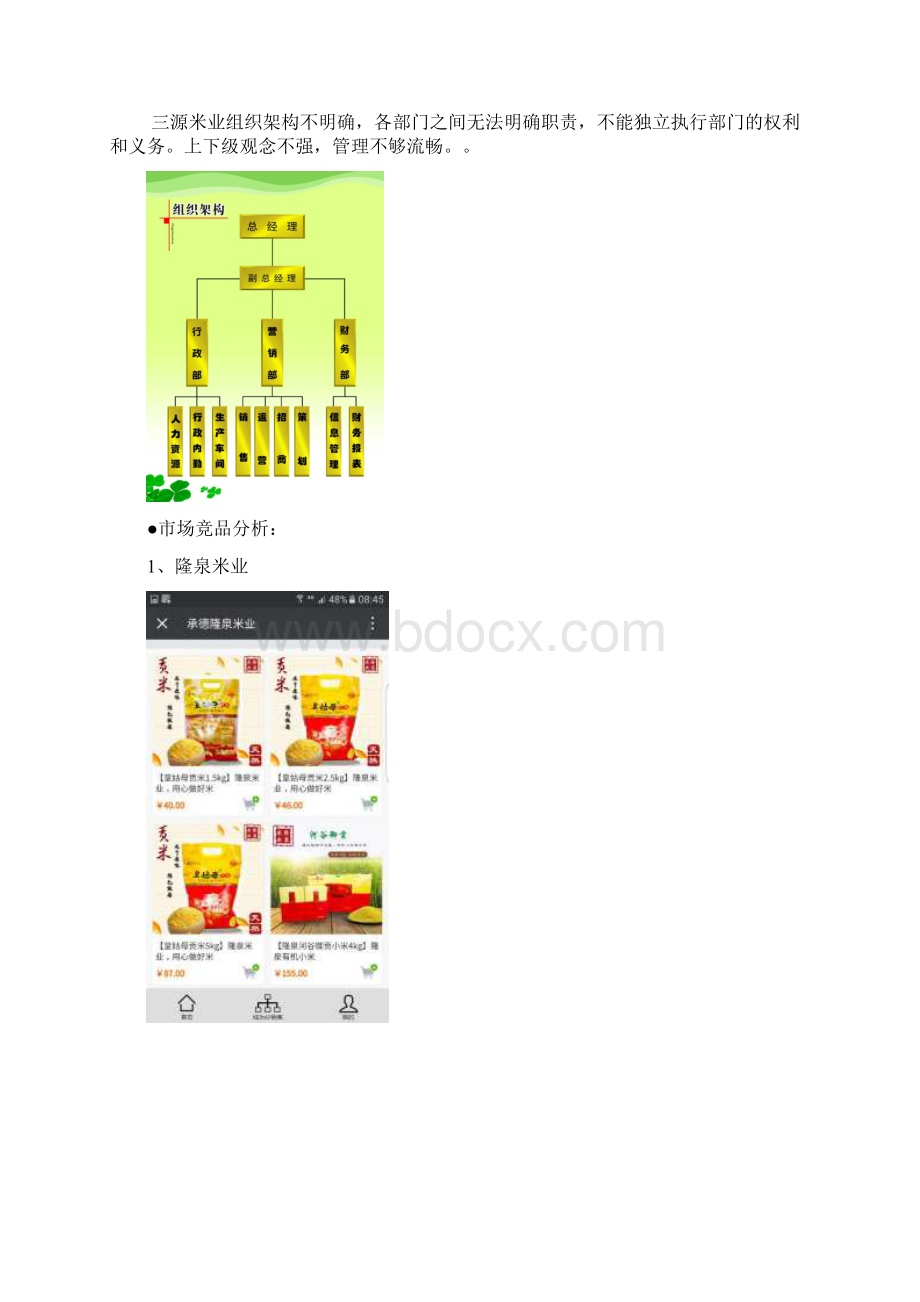 大米品牌推广方案范本Word文档格式.docx_第2页