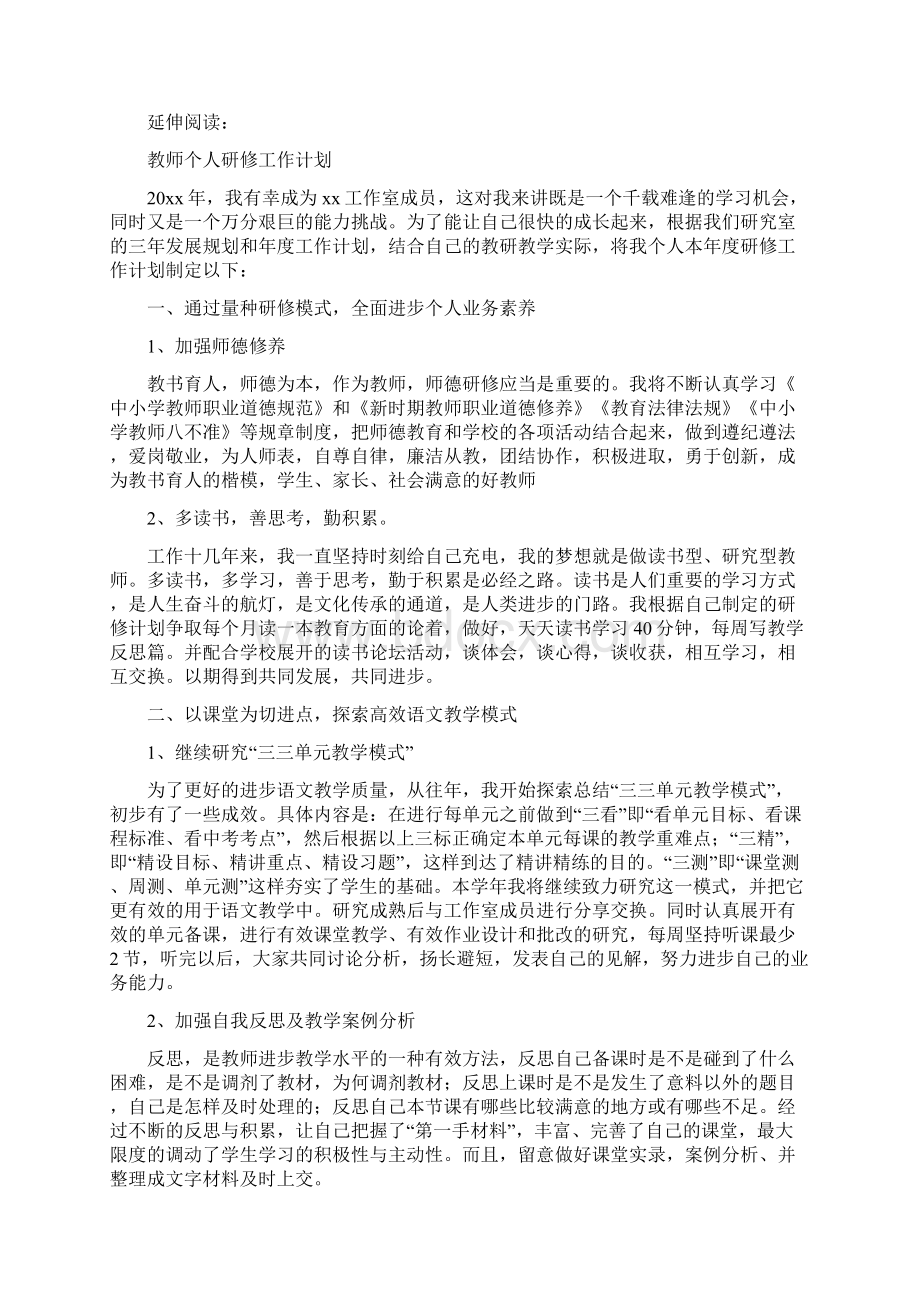 教师个人研修经验总结.docx_第2页