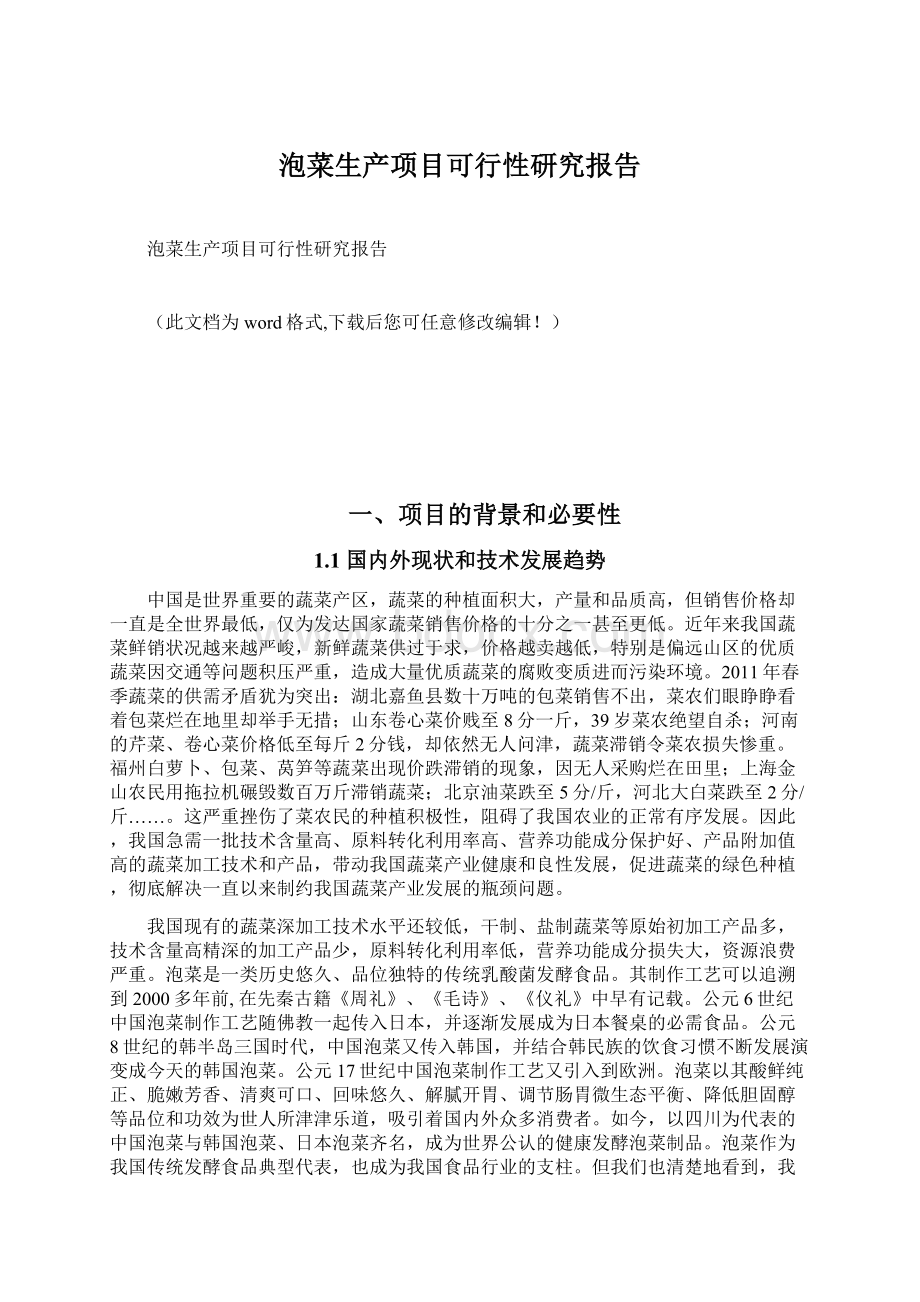 泡菜生产项目可行性研究报告Word格式文档下载.docx