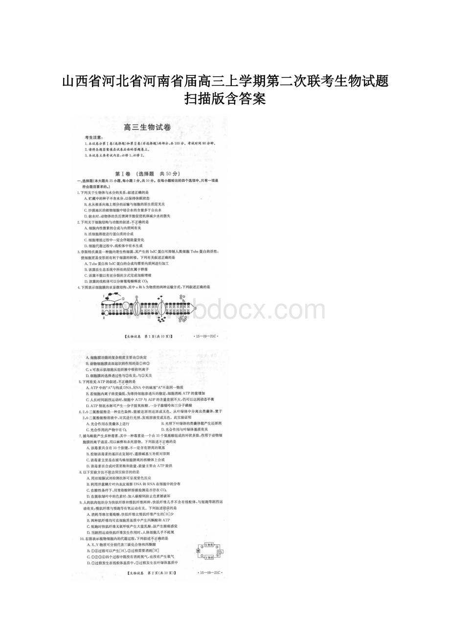 山西省河北省河南省届高三上学期第二次联考生物试题 扫描版含答案Word文档下载推荐.docx