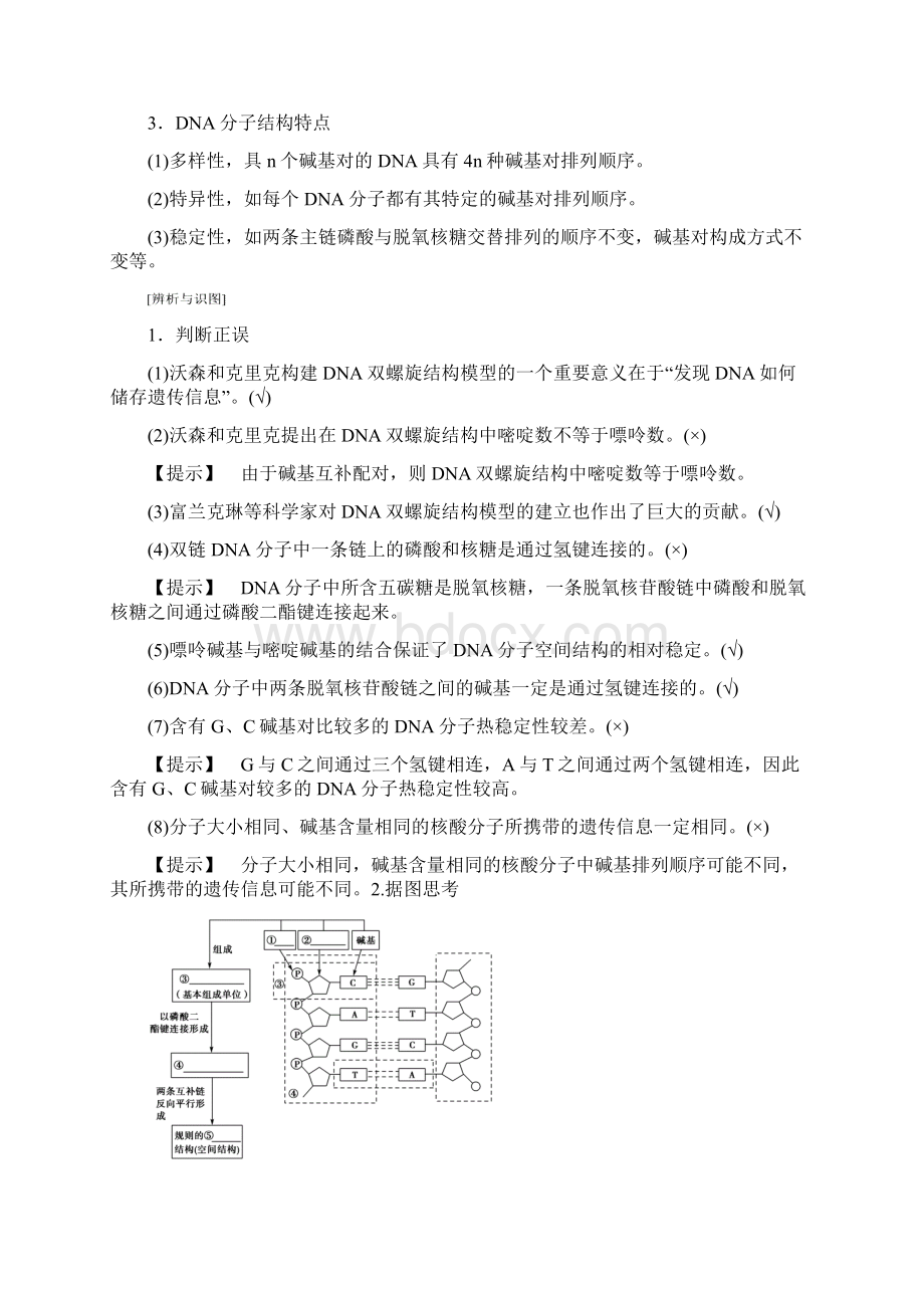 版高考生物一轮复习第6单元遗传的分子基础第2讲DNA分子的结构复制与基因的本质学案苏教版Word格式文档下载.docx_第2页