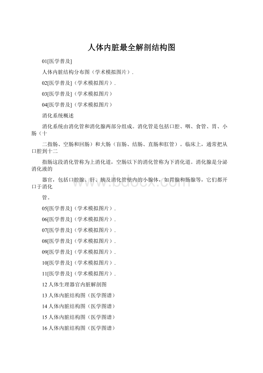 人体内脏最全解剖结构图.docx_第1页