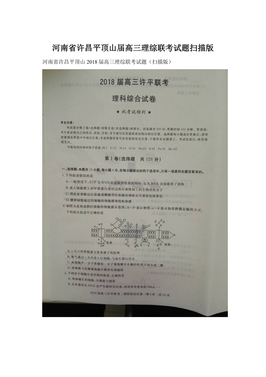 河南省许昌平顶山届高三理综联考试题扫描版.docx_第1页