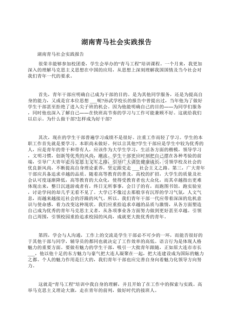 湖南青马社会实践报告.docx