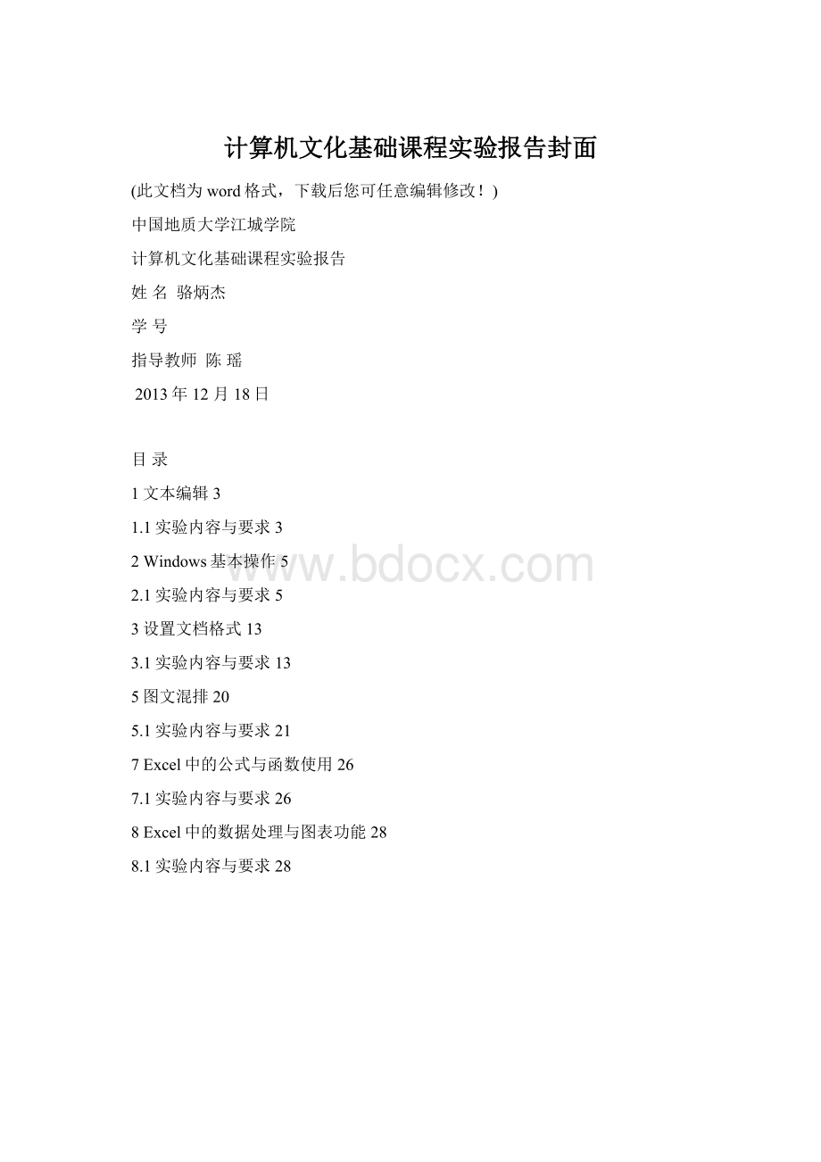 计算机文化基础课程实验报告封面.docx