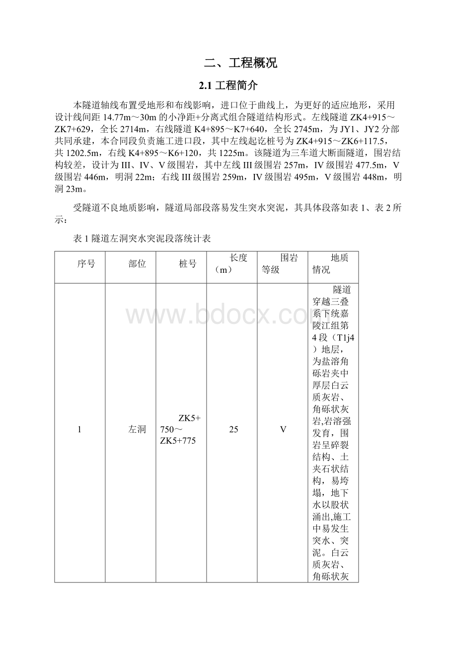 隧道突水突泥专项施工方案.docx_第2页