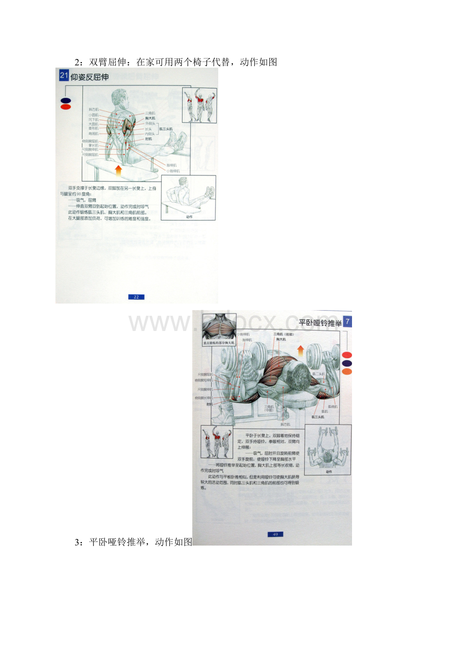 男士健身方案.docx_第2页