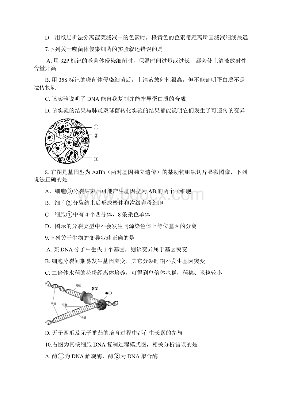 生物试题Word下载.docx_第3页