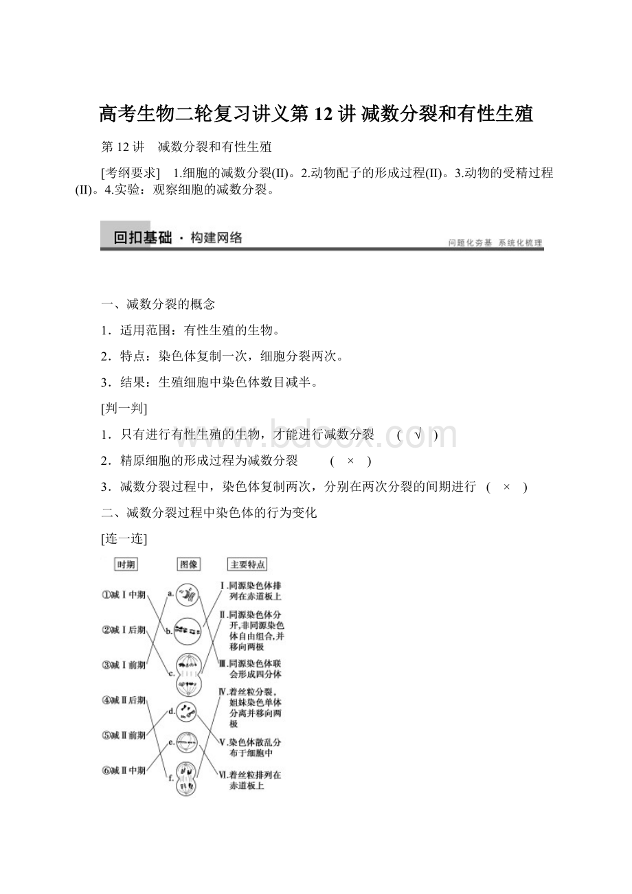 高考生物二轮复习讲义第12讲 减数分裂和有性生殖文档格式.docx