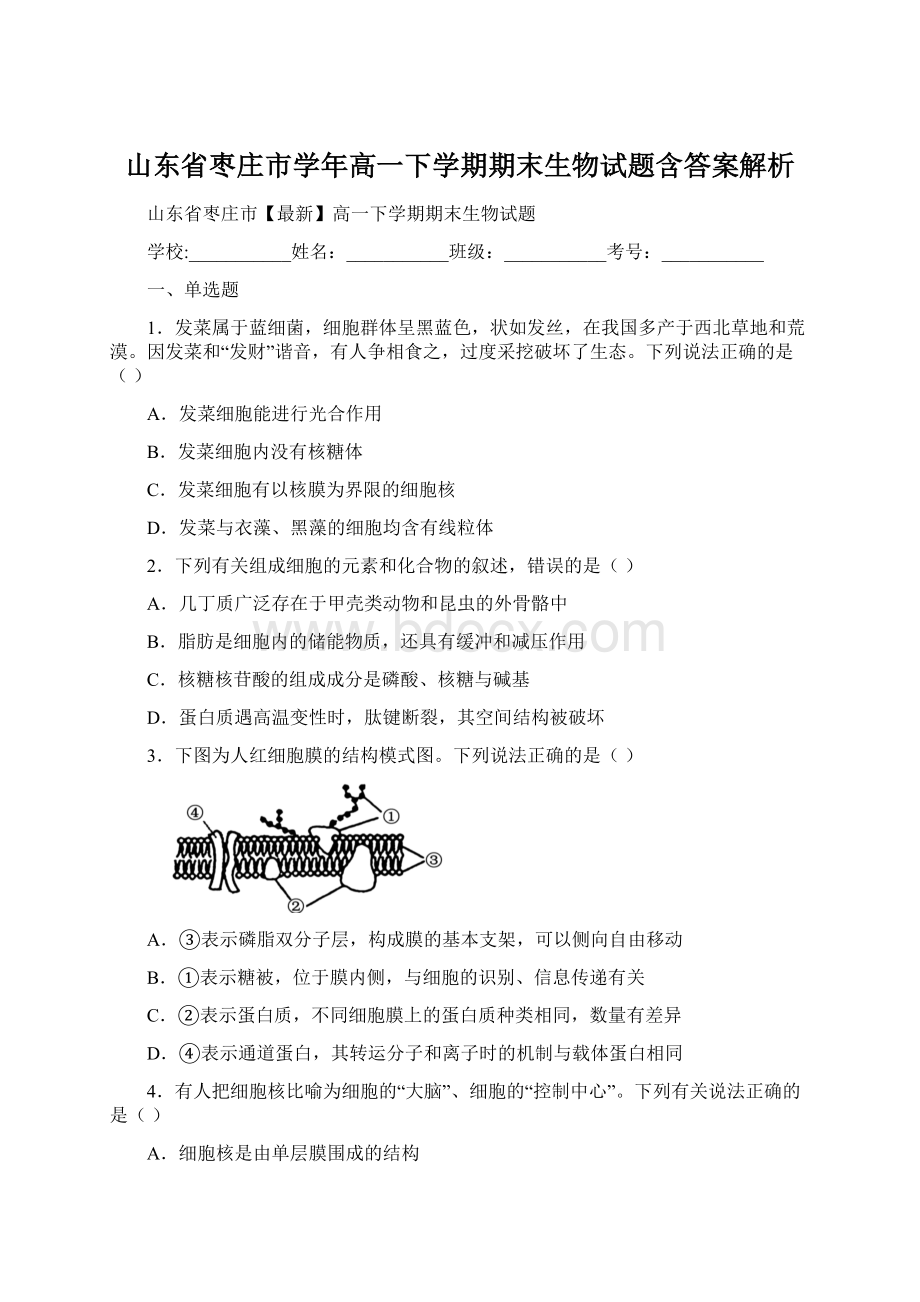 山东省枣庄市学年高一下学期期末生物试题含答案解析Word文档格式.docx_第1页