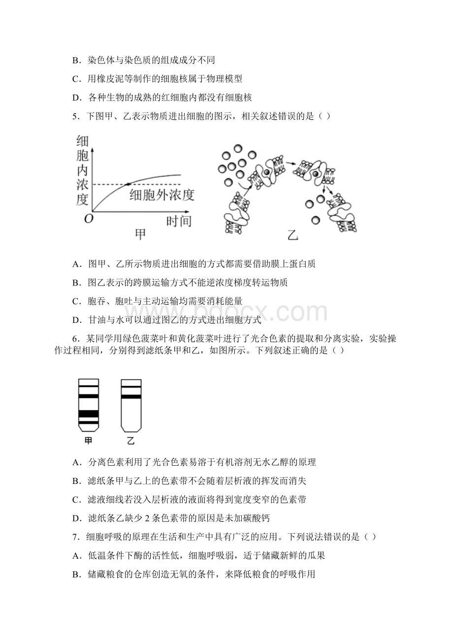 山东省枣庄市学年高一下学期期末生物试题含答案解析Word文档格式.docx_第2页