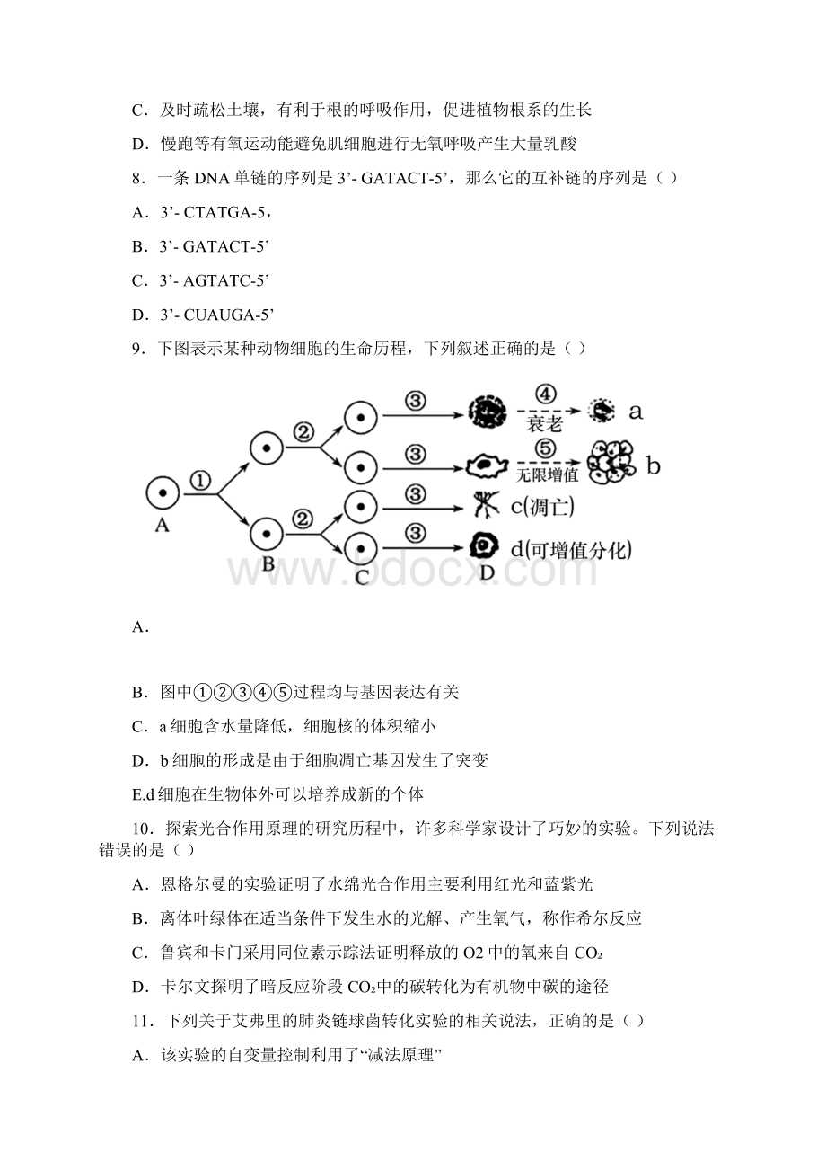 山东省枣庄市学年高一下学期期末生物试题含答案解析Word文档格式.docx_第3页