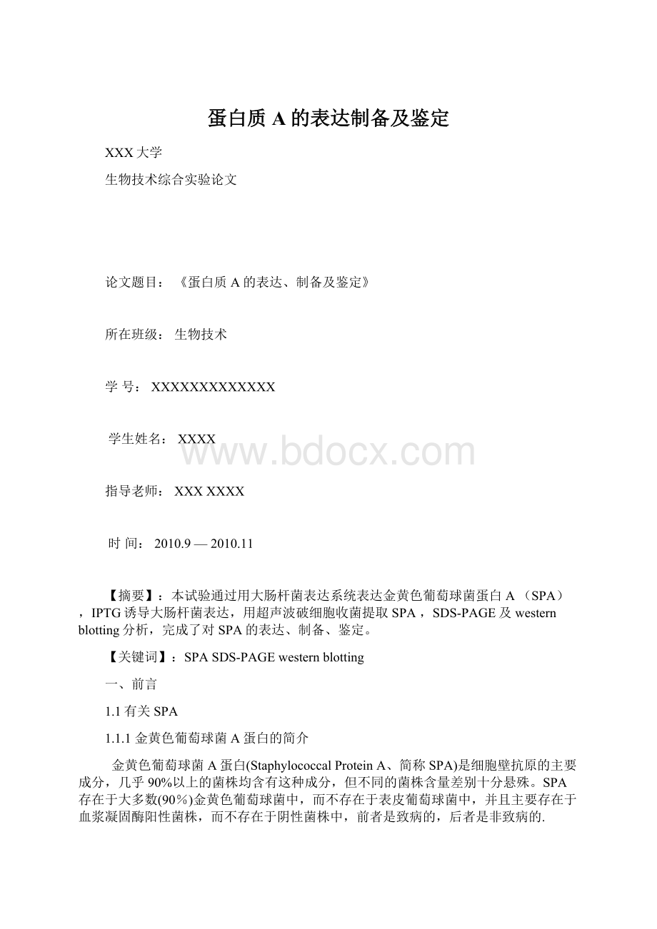 蛋白质A的表达制备及鉴定Word格式文档下载.docx