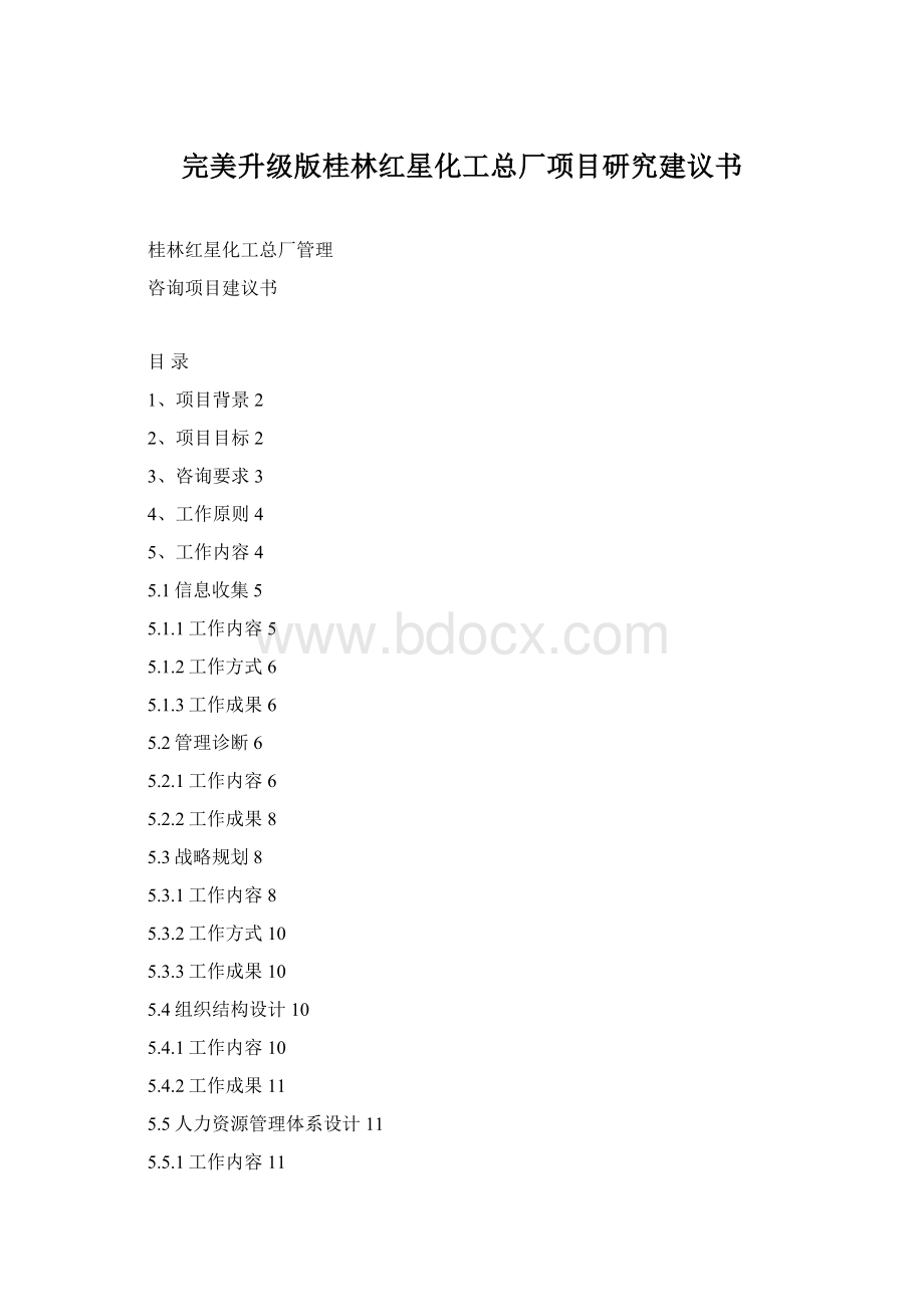 完美升级版桂林红星化工总厂项目研究建议书Word下载.docx_第1页