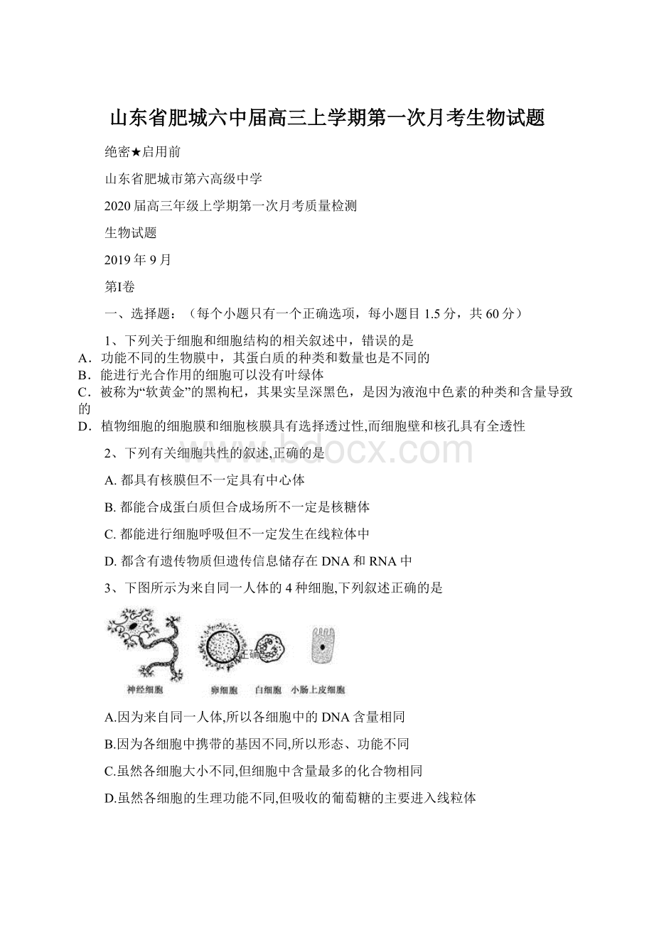 山东省肥城六中届高三上学期第一次月考生物试题.docx