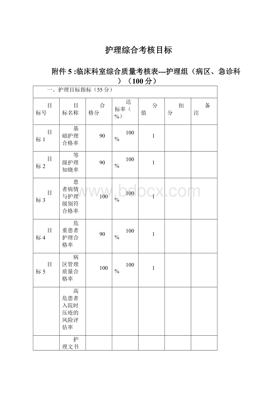 护理综合考核目标Word格式文档下载.docx