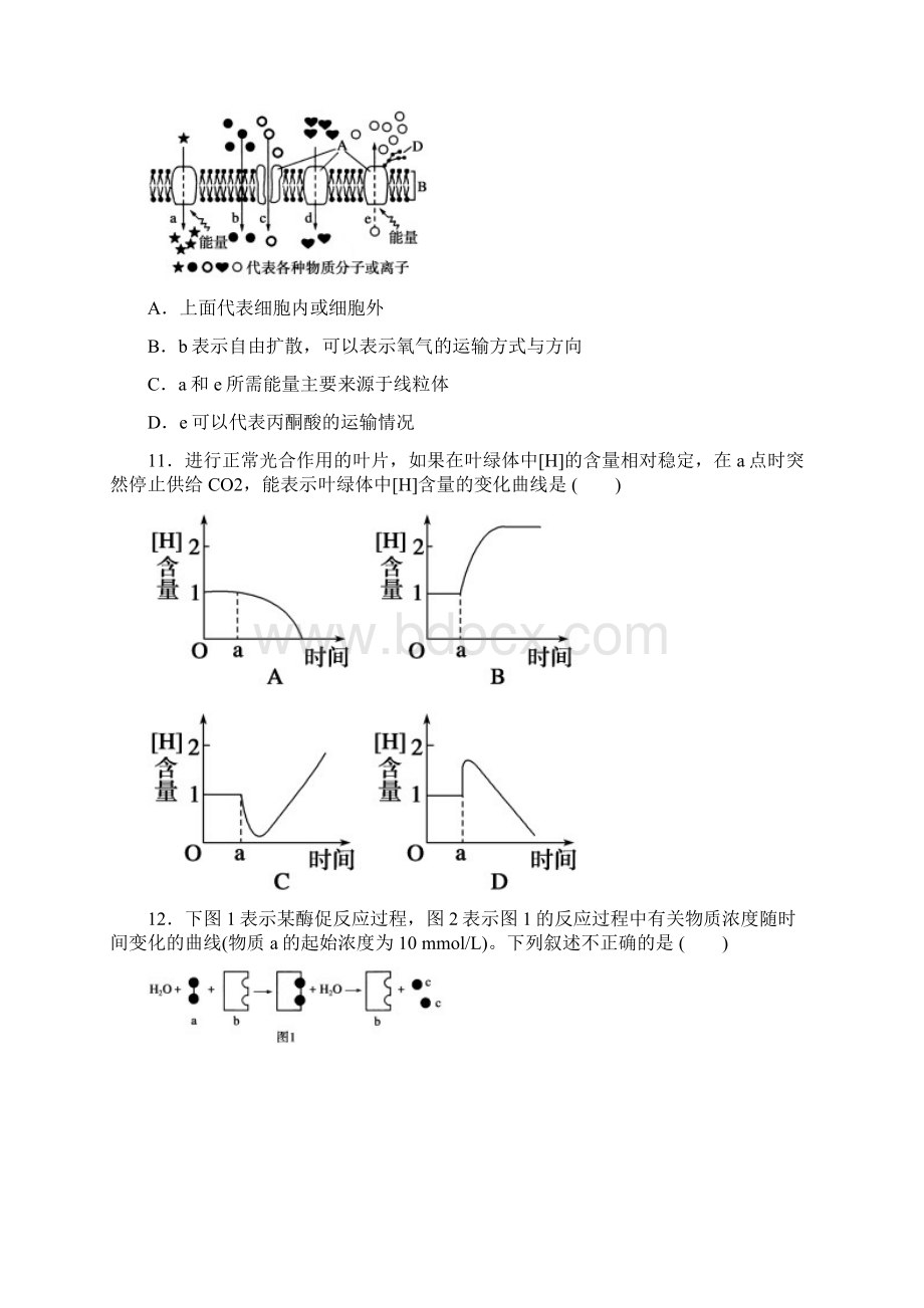 生物人教版必修1期末综合检测二附答案Word文档下载推荐.docx_第3页