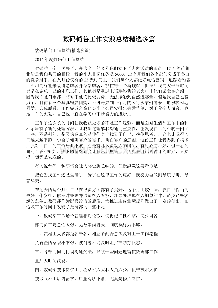 数码销售工作实践总结精选多篇文档格式.docx_第1页