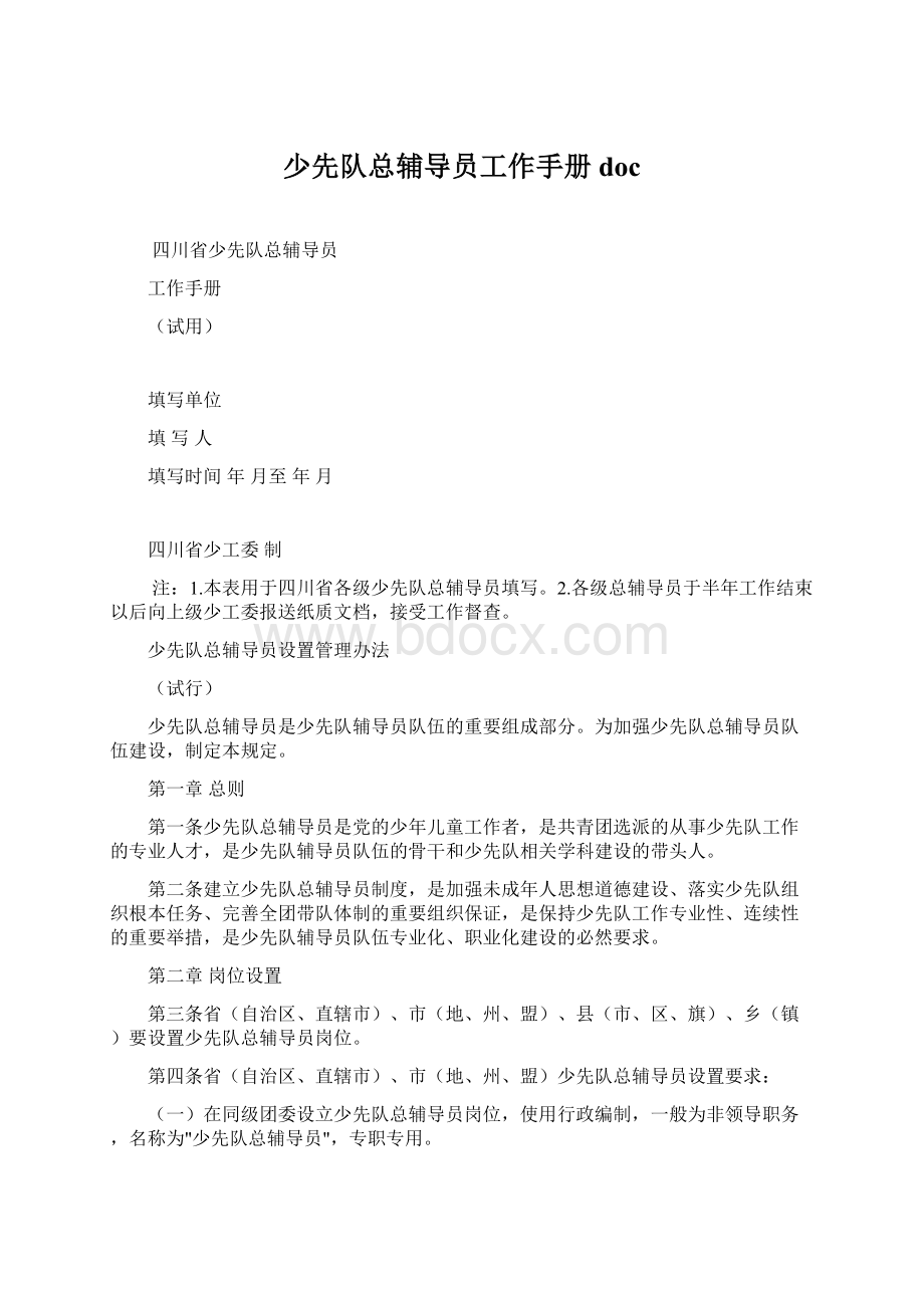 少先队总辅导员工作手册docWord下载.docx