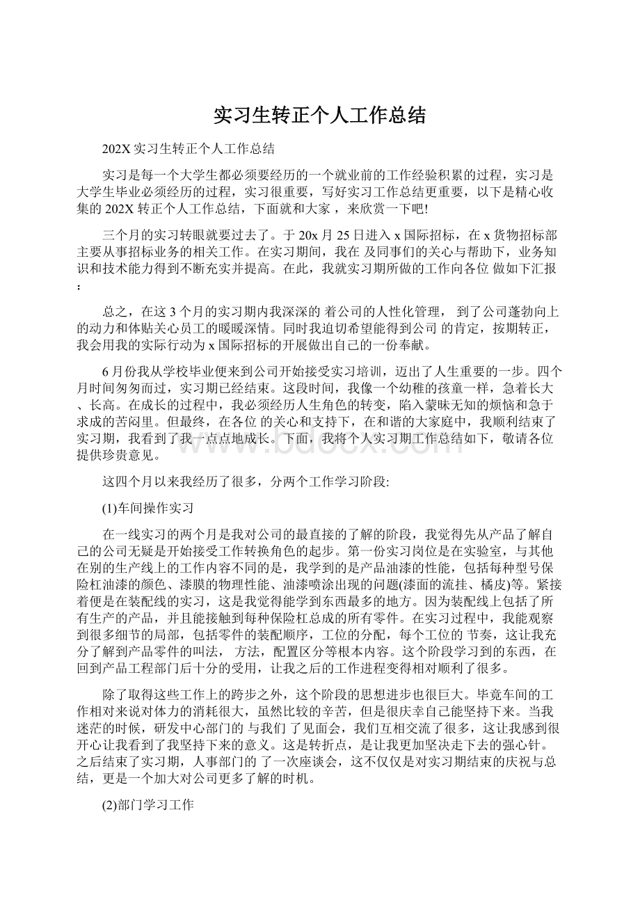 实习生转正个人工作总结Word文档下载推荐.docx