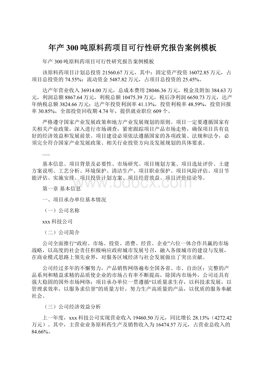 年产300吨原料药项目可行性研究报告案例模板Word文档格式.docx_第1页