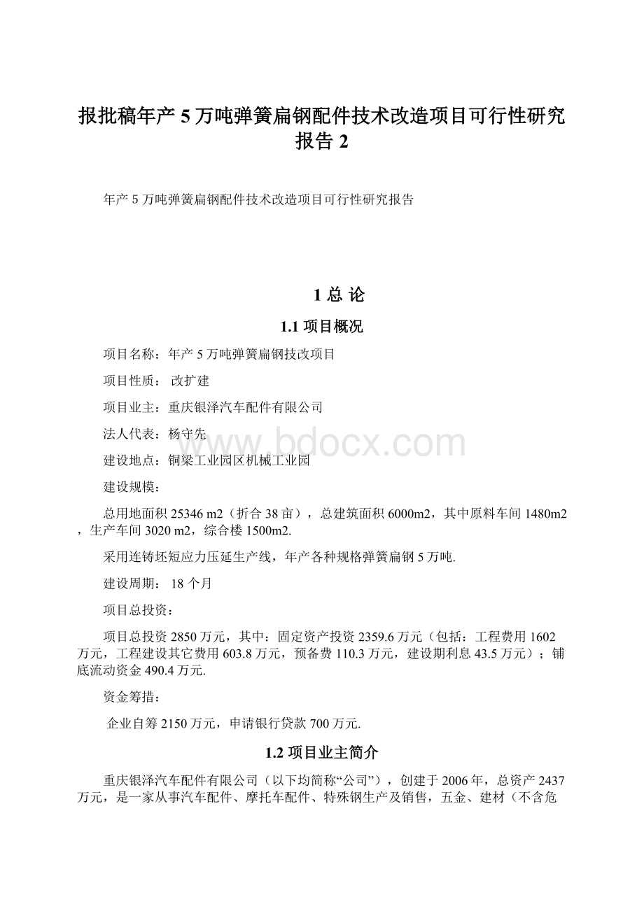 报批稿年产5万吨弹簧扁钢配件技术改造项目可行性研究报告 2Word文件下载.docx_第1页