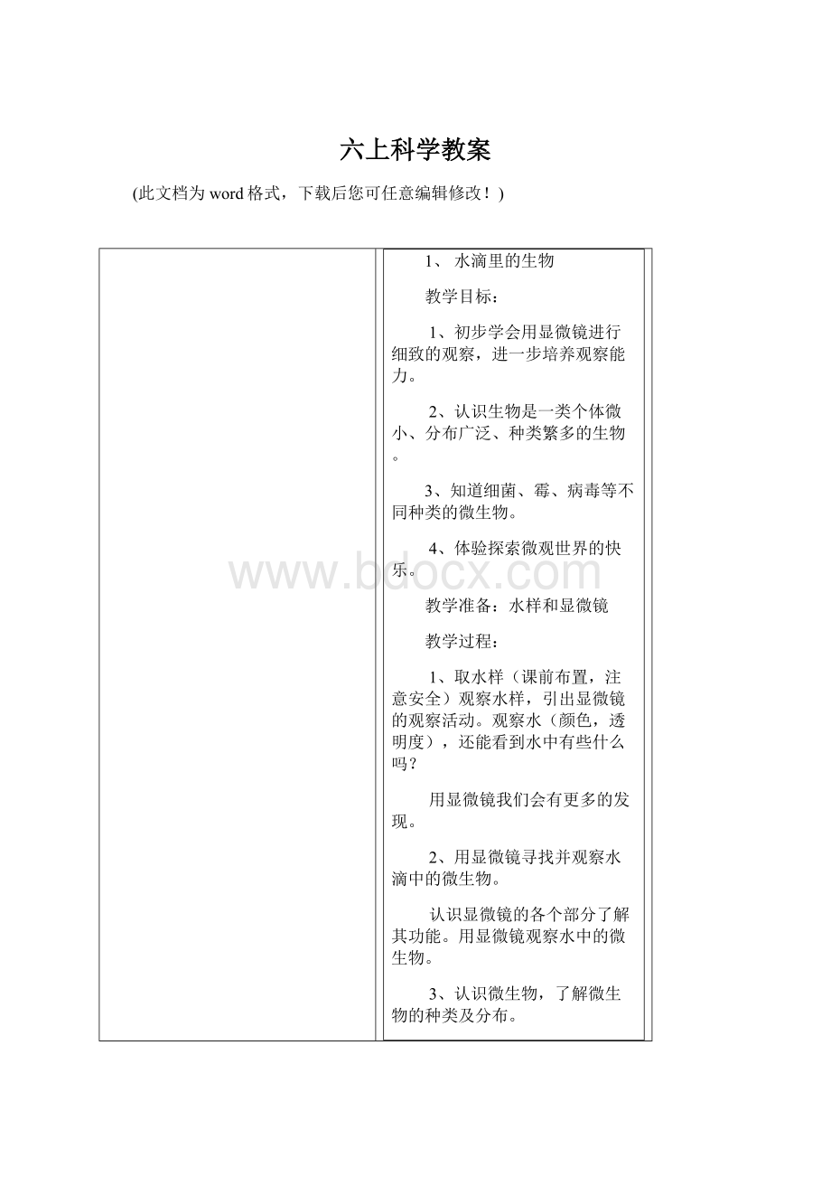 六上科学教案.docx_第1页