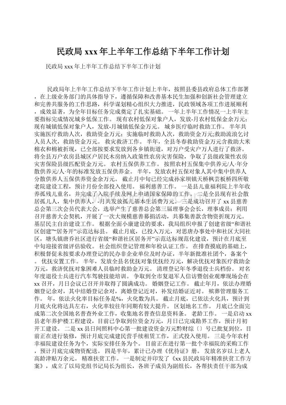 民政局xxx年上半年工作总结下半年工作计划.docx