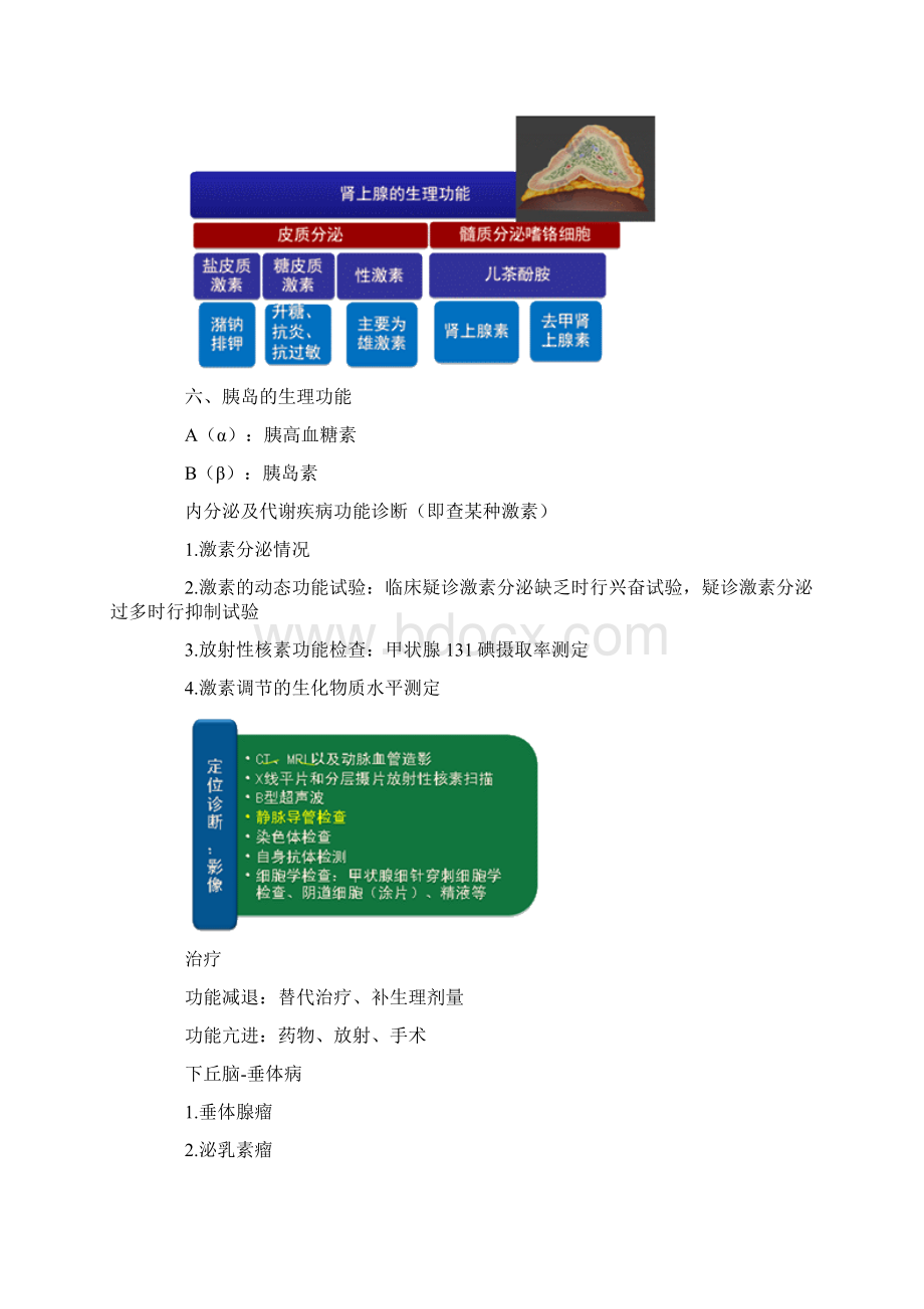 17年执业医师考试重点内分泌系统.docx_第3页