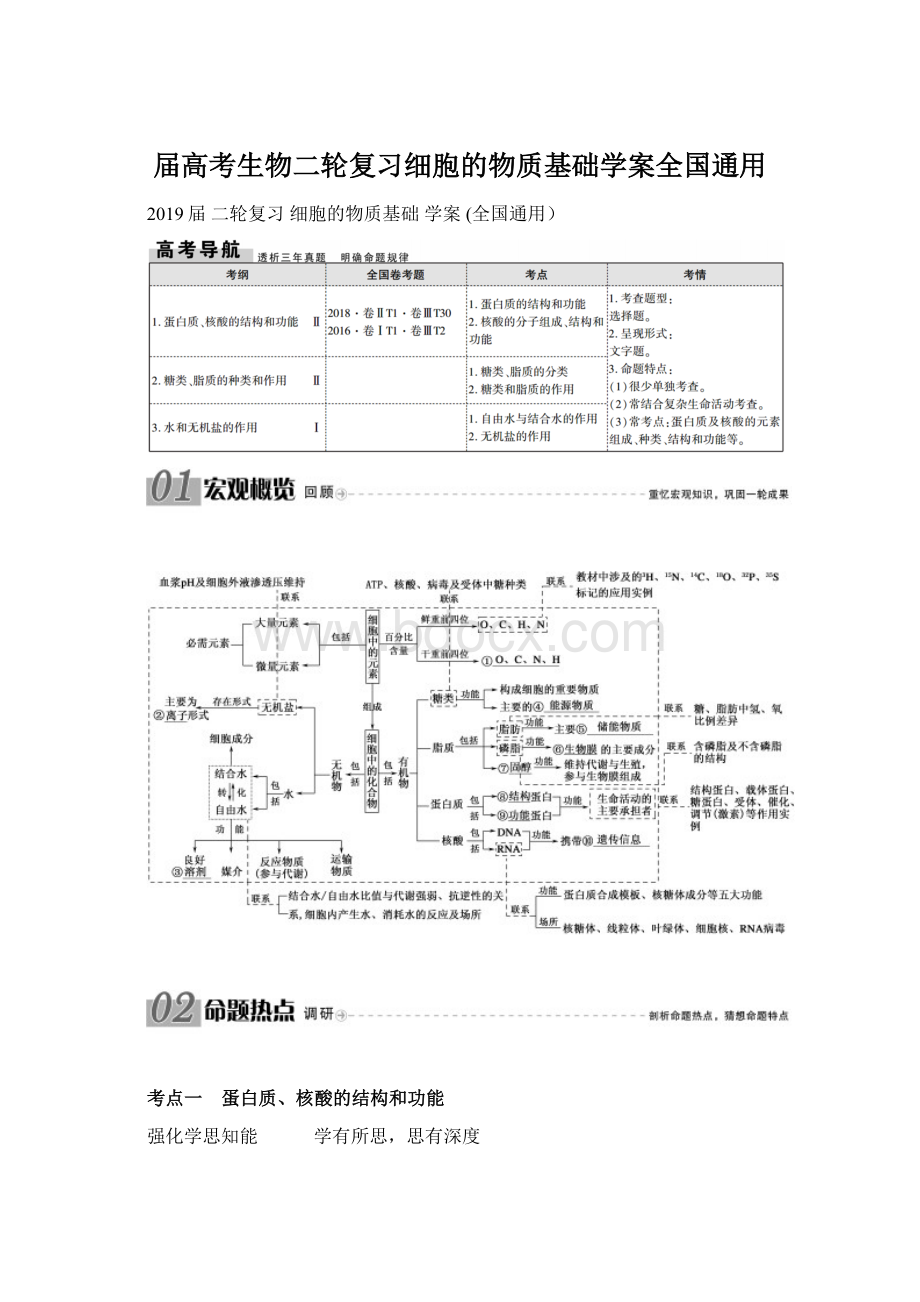 届高考生物二轮复习细胞的物质基础学案全国通用Word文件下载.docx