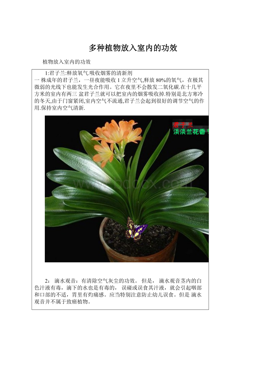 多种植物放入室内的功效.docx_第1页