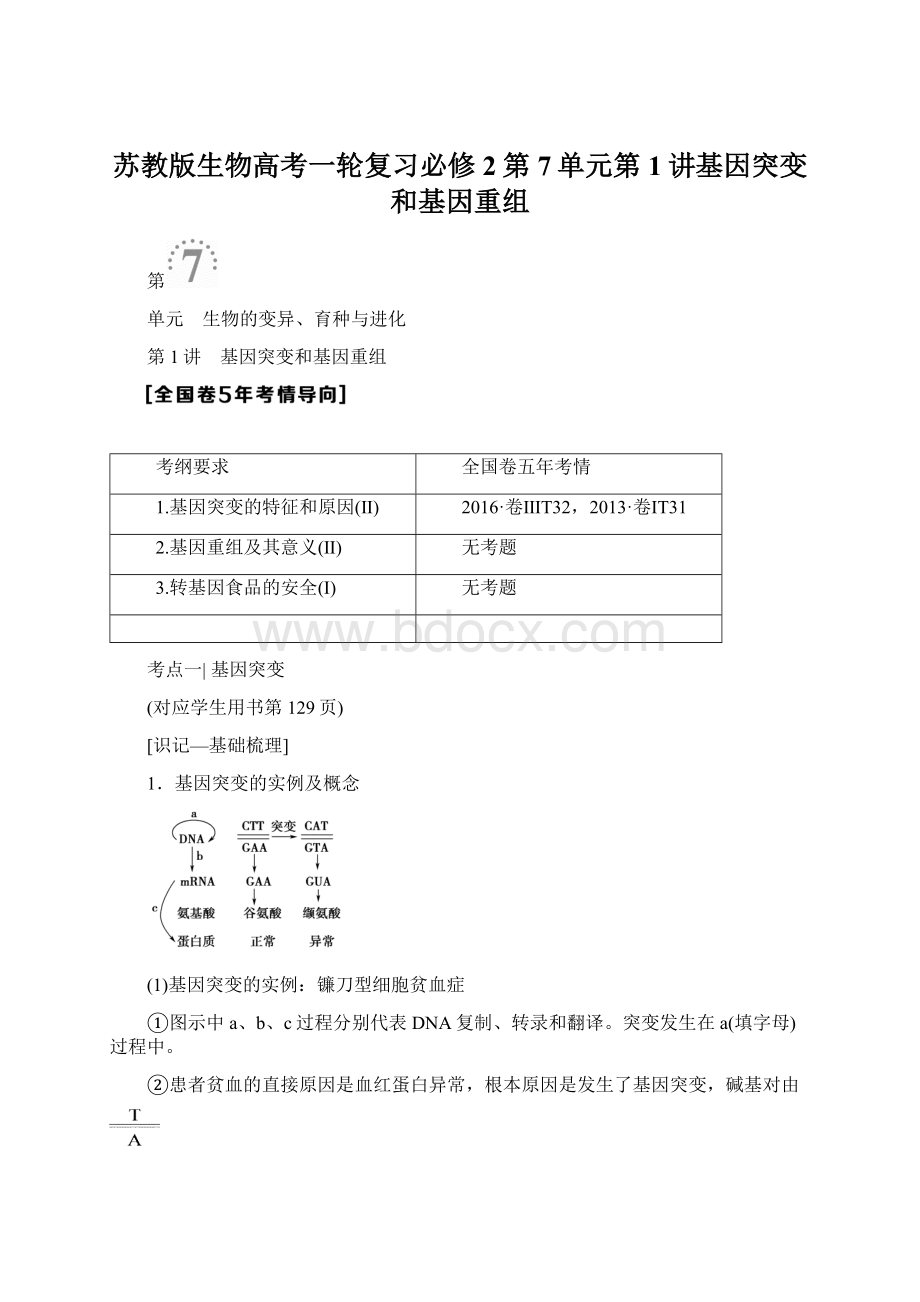 苏教版生物高考一轮复习必修2第7单元第1讲基因突变和基因重组.docx