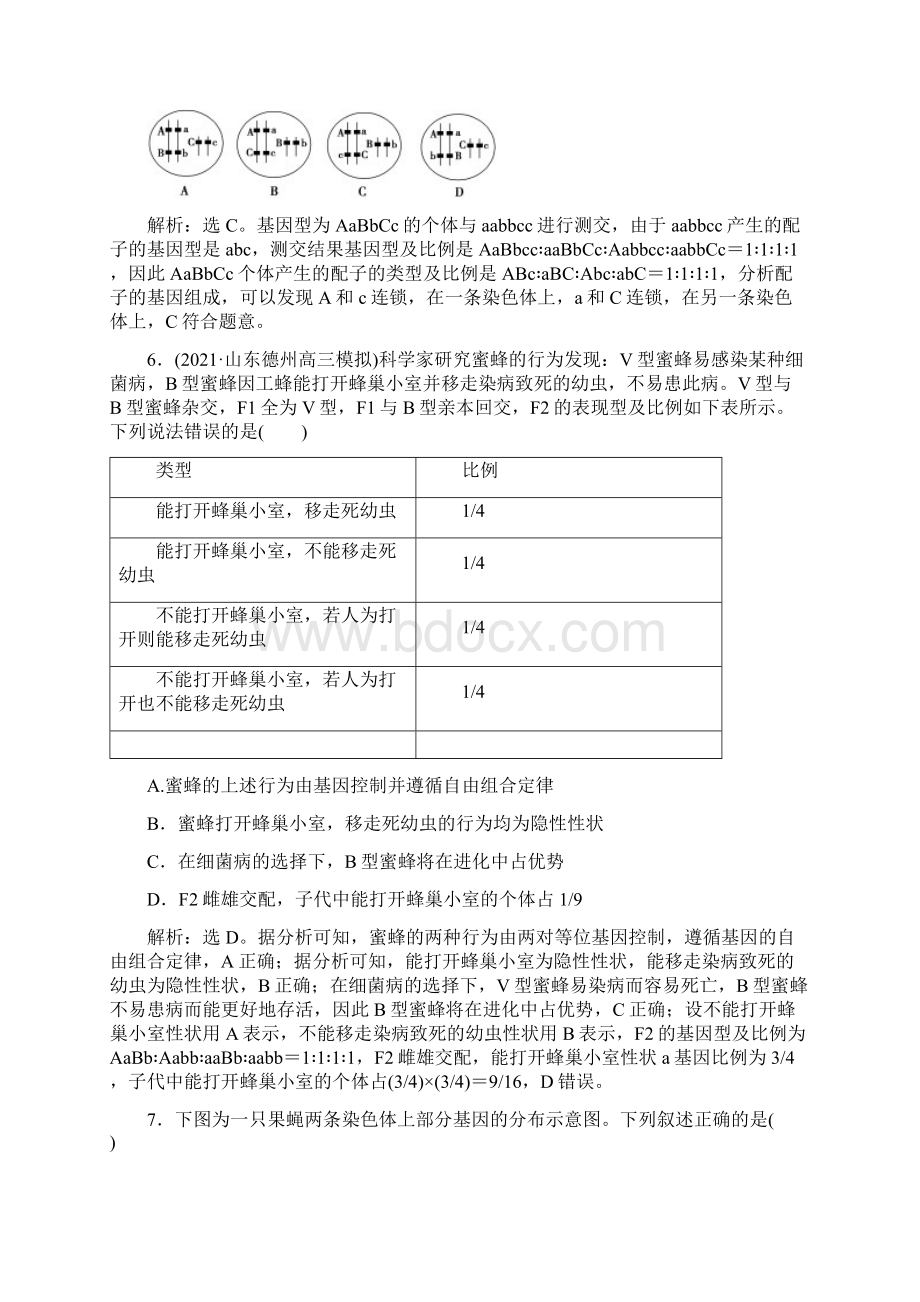 届人教版遗传基本规律和伴性遗传单元检测.docx_第3页